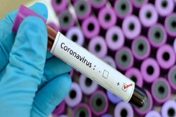 شمار مبتلایان به کرونا در ایتالیا به 79 نفر رسید شمار مبتلایان به کرونا در ایتالیا به 79 نفر رسید