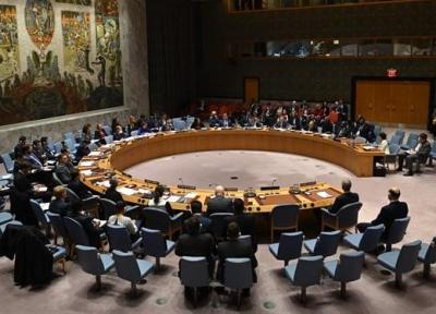 نشست شورای امنیت درباره ادلب؛ دفاع روسیه از ارتش سوریه