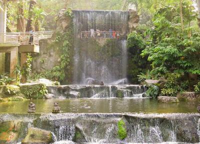 باغ پرندگان کوالالامپور، بزرگترین باغ سرپوشیده پرندگان در جهان