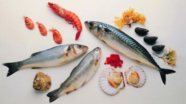 مجاز یا غیرمجاز بودن مصرف انواع ماهی و غذاهای دریایی در زمان ابتلا به نقرس