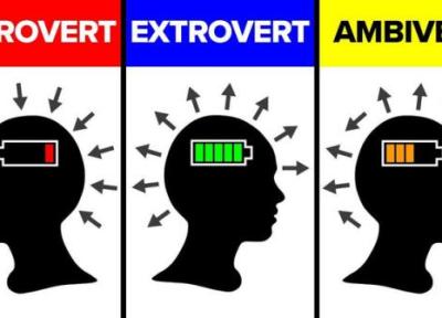 شما ممکن است 50 درصد درون گرا و 50 درصد برون گرا یا اصطلاحا آمبی وِرت (Ambivert) باشید: نشانه ها و علایم